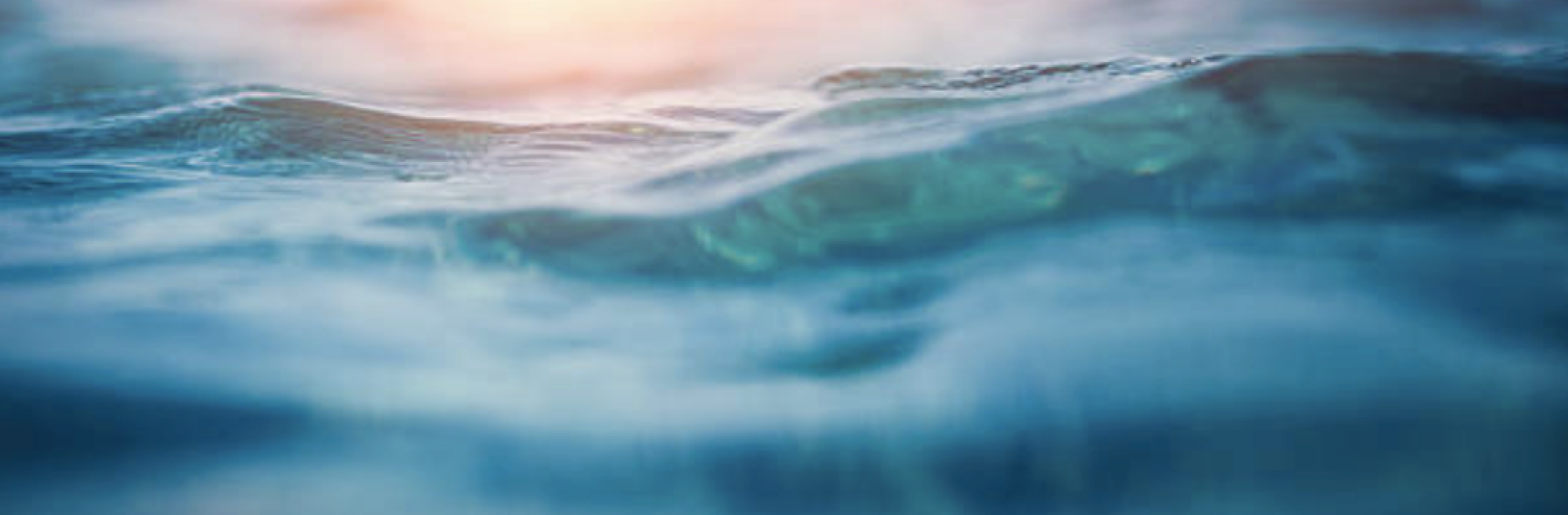 Research - Want to Dive a Little Deeper into the topic of Wireless Radiation?